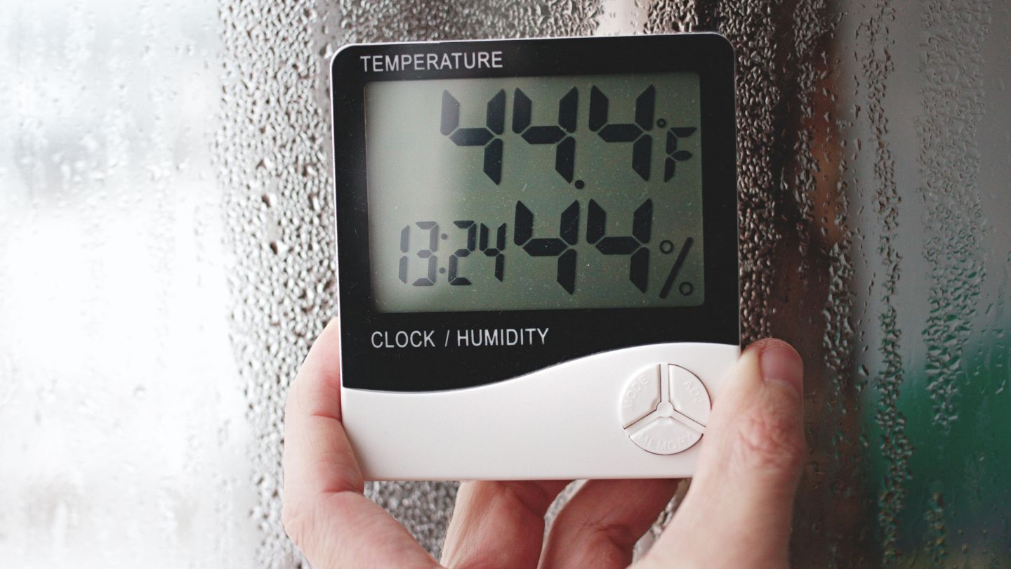 High Humidity Levels