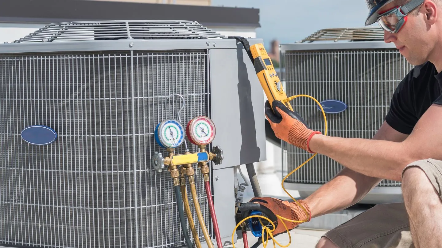 Professional Expertise and Experience