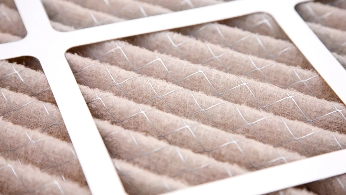 Choosing the Right Filters for Allergy Reduction